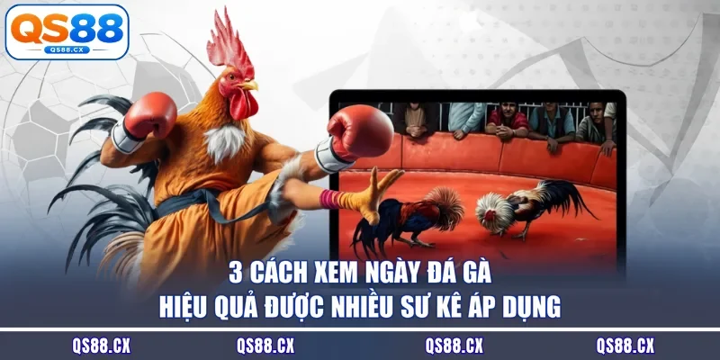 3 cách xem ngày đá gà hiệu quả được nhiều sư kê áp dụng