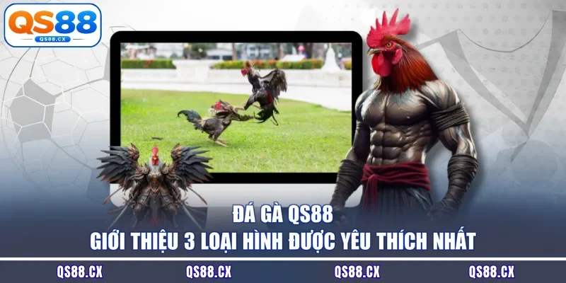 Đá Gà QS88 - Giới Thiệu 3 Loại Hình Được Yêu Thích Nhất