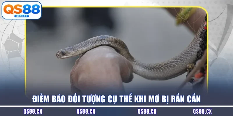 Điềm báo đối tượng cụ thể khi mơ bị rắn cắn