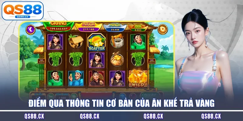 Điểm qua thông tin cơ bản của ăn khế trả vàng