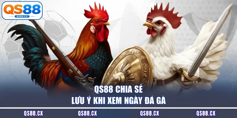 QS88 chia sẻ lưu ý khi xem ngày đá gà
