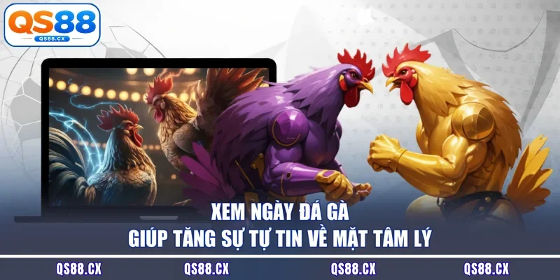 Xem ngày đá gà giúp tăng sự tự tin về mặt tâm lý